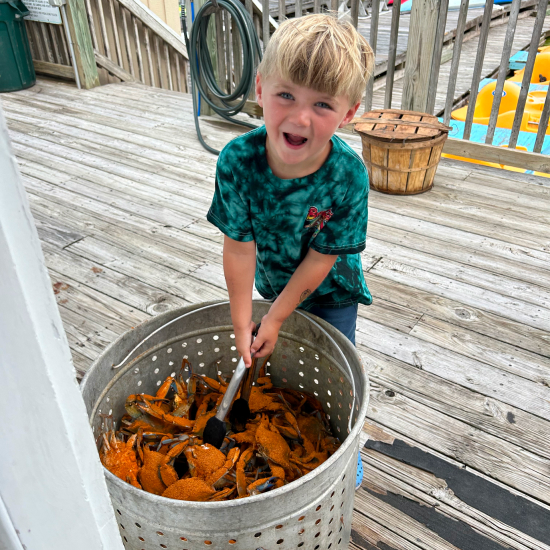 Live Blue Crabs